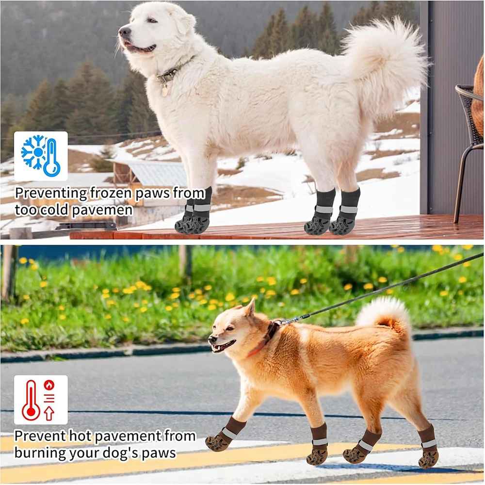 chaussette pour chien pattprotect ballade