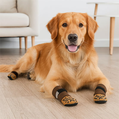 chaussette pour chien pattprotect