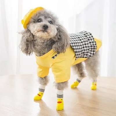 chaussettes pour chien maison
