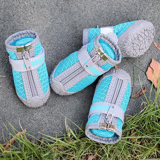 chaussure pour chien impermeableconfort model