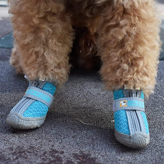 chaussure pour chien impermeableconfort pose