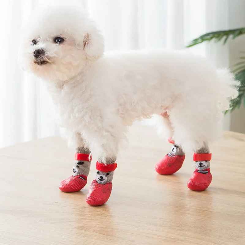 chaussures pour chien impermeable thermique maison