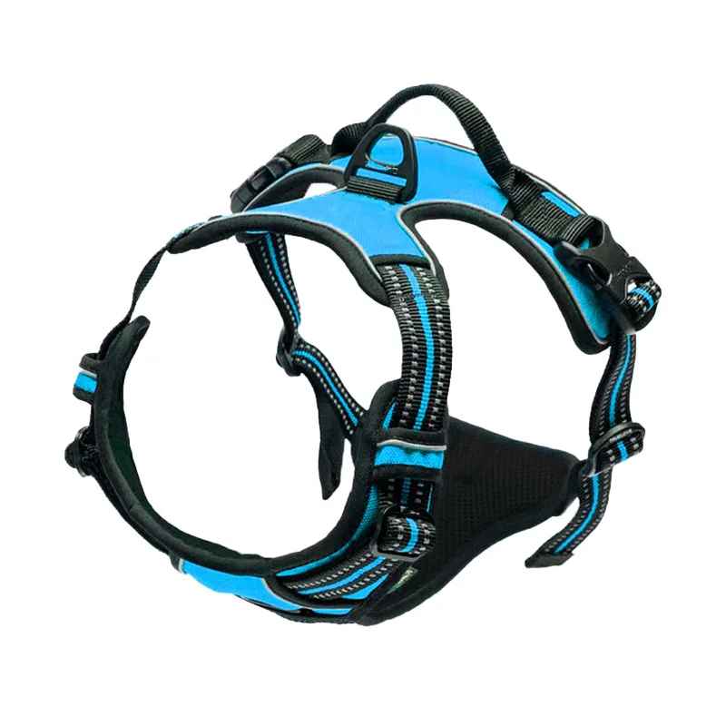 chien harnais ergonomique bleu