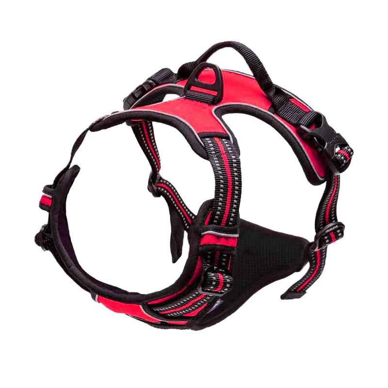 chien harnais ergonomique rouge