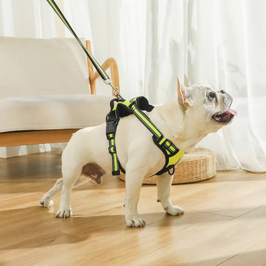 chien harnais ergonomique sortir