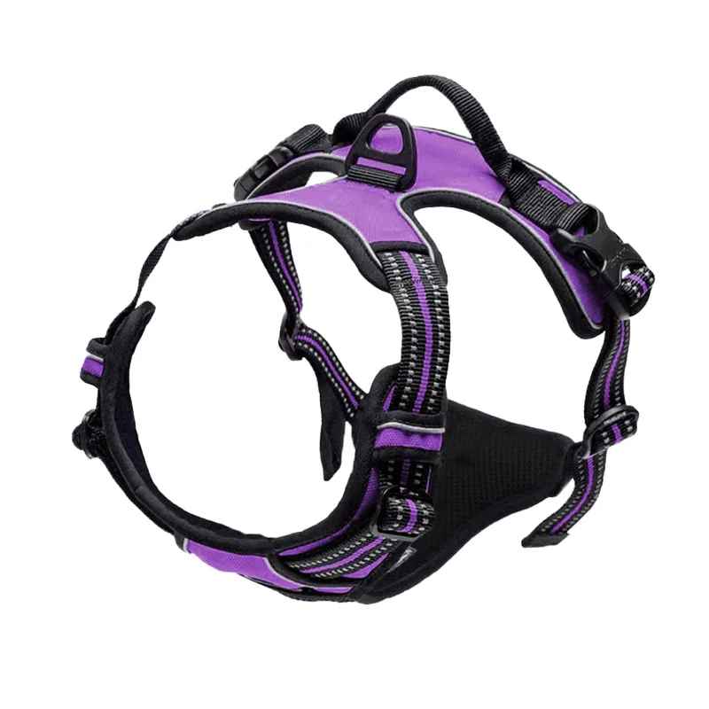 chien harnais ergonomique violet