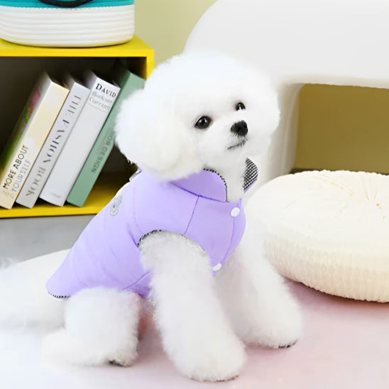 chien manteau wintercoat lit