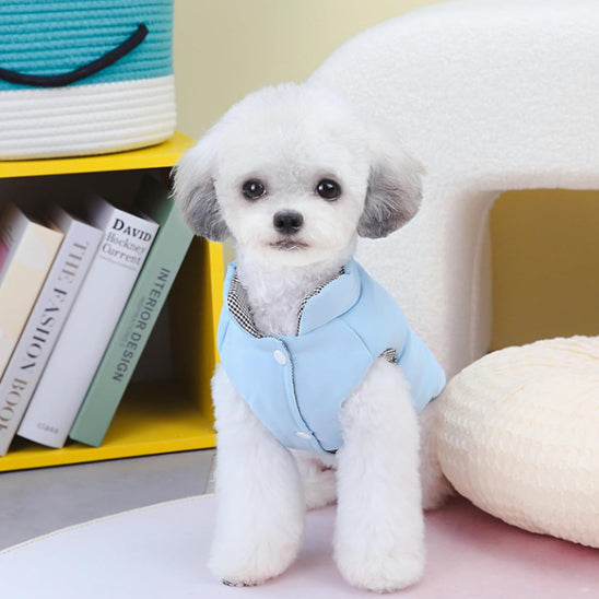 chien manteau wintercoat maison