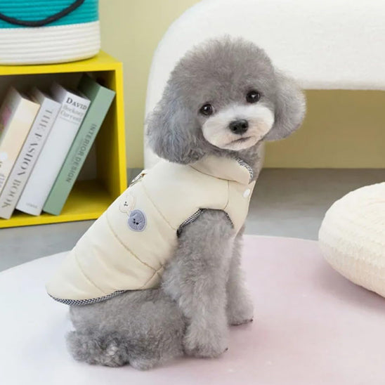 chien manteau wintercoat salon