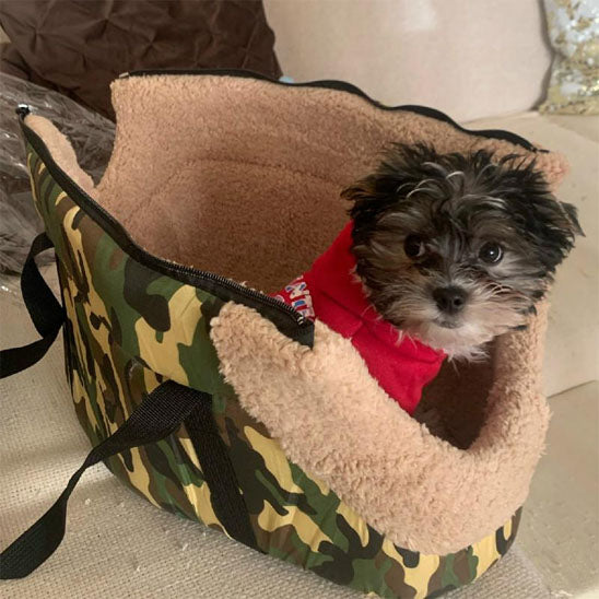 chien sac de transport voyageconfort regard