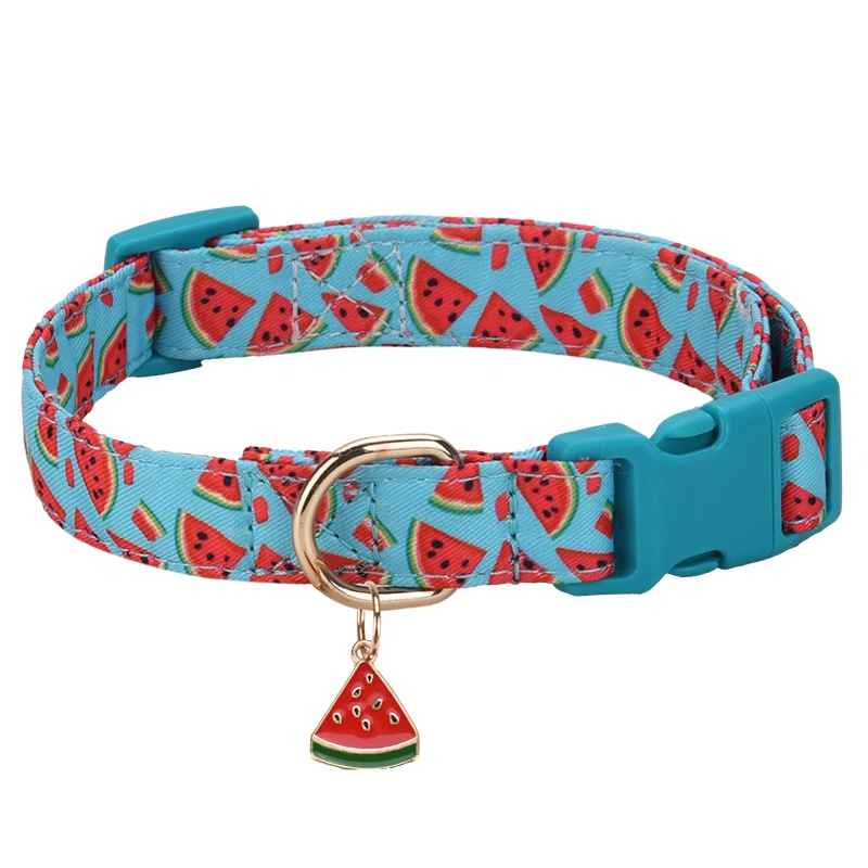 colier chien fruity summer bleu