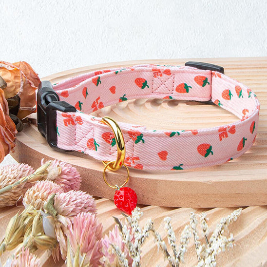 colier chien fruity summer plateau