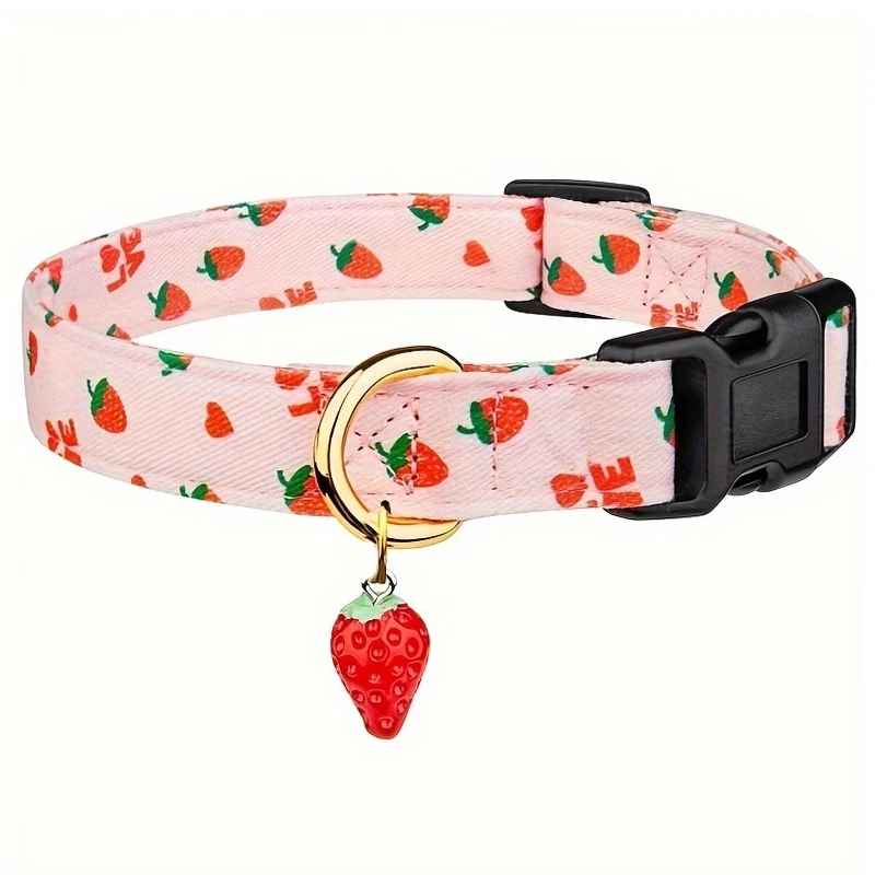 colier chien fruity summer rose
