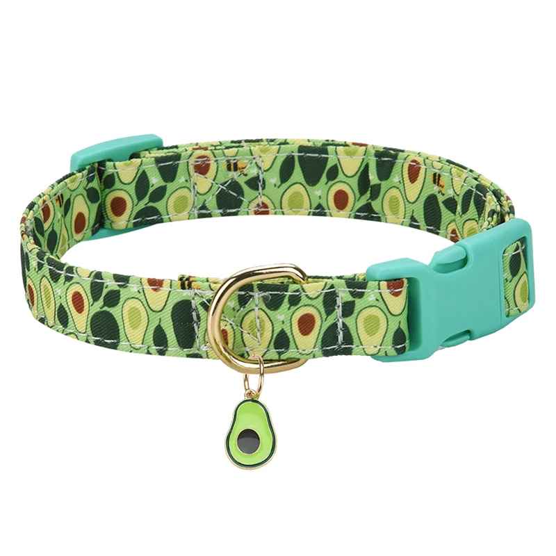 colier chien fruity summer vert