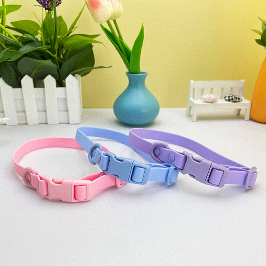 collier chien coloreajustable couleur
