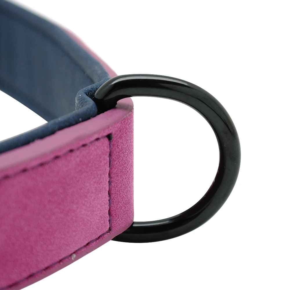 collier chien cuir bouvle