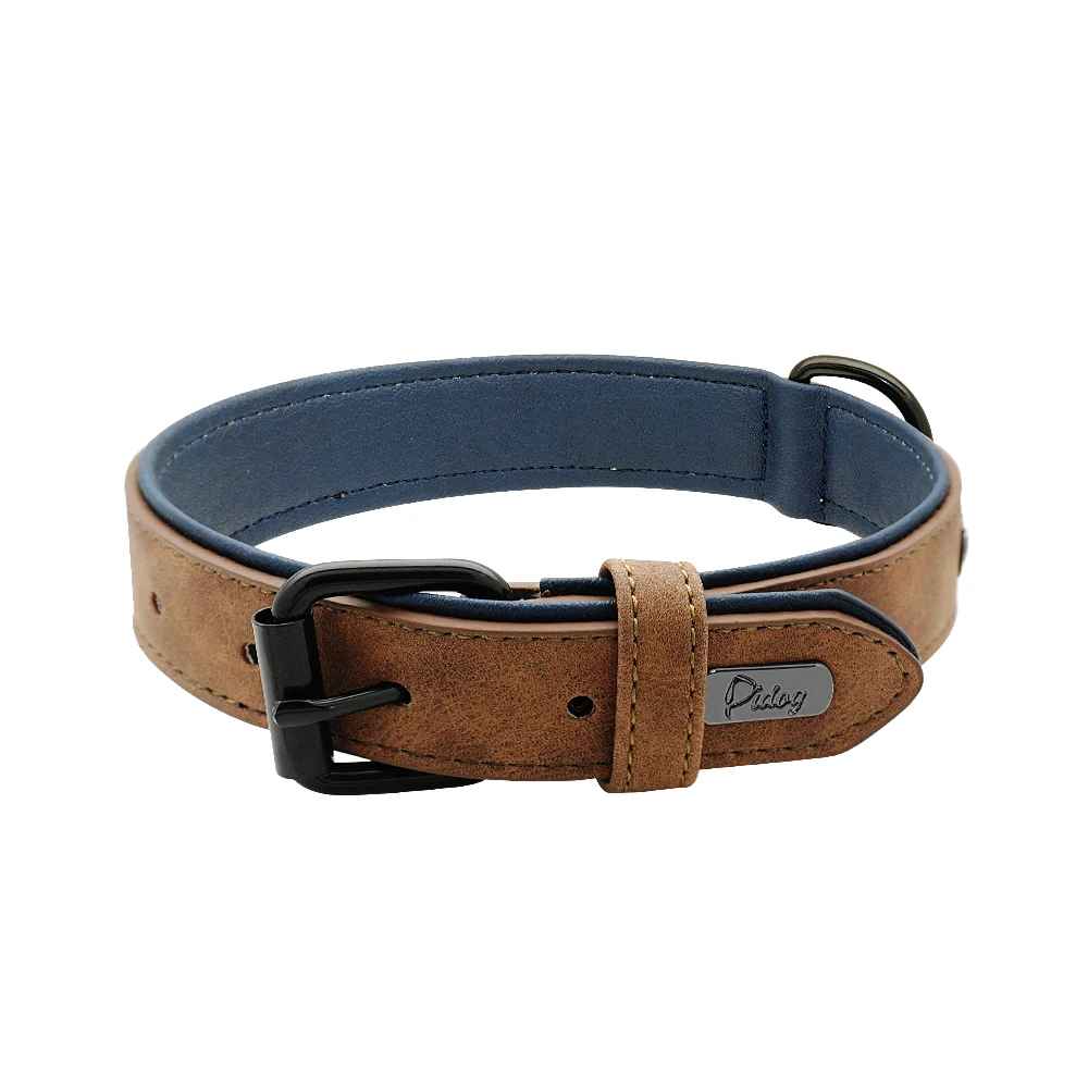 collier chien cuir marron