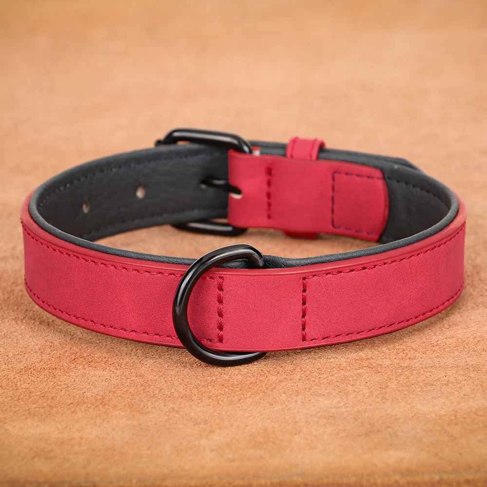 collier chien cuir rouge