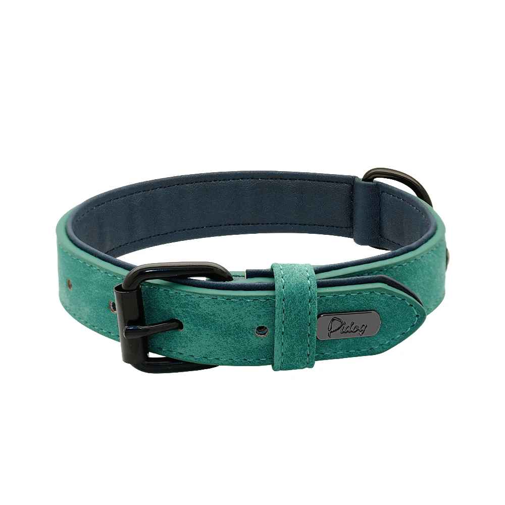collier chien cuir vert