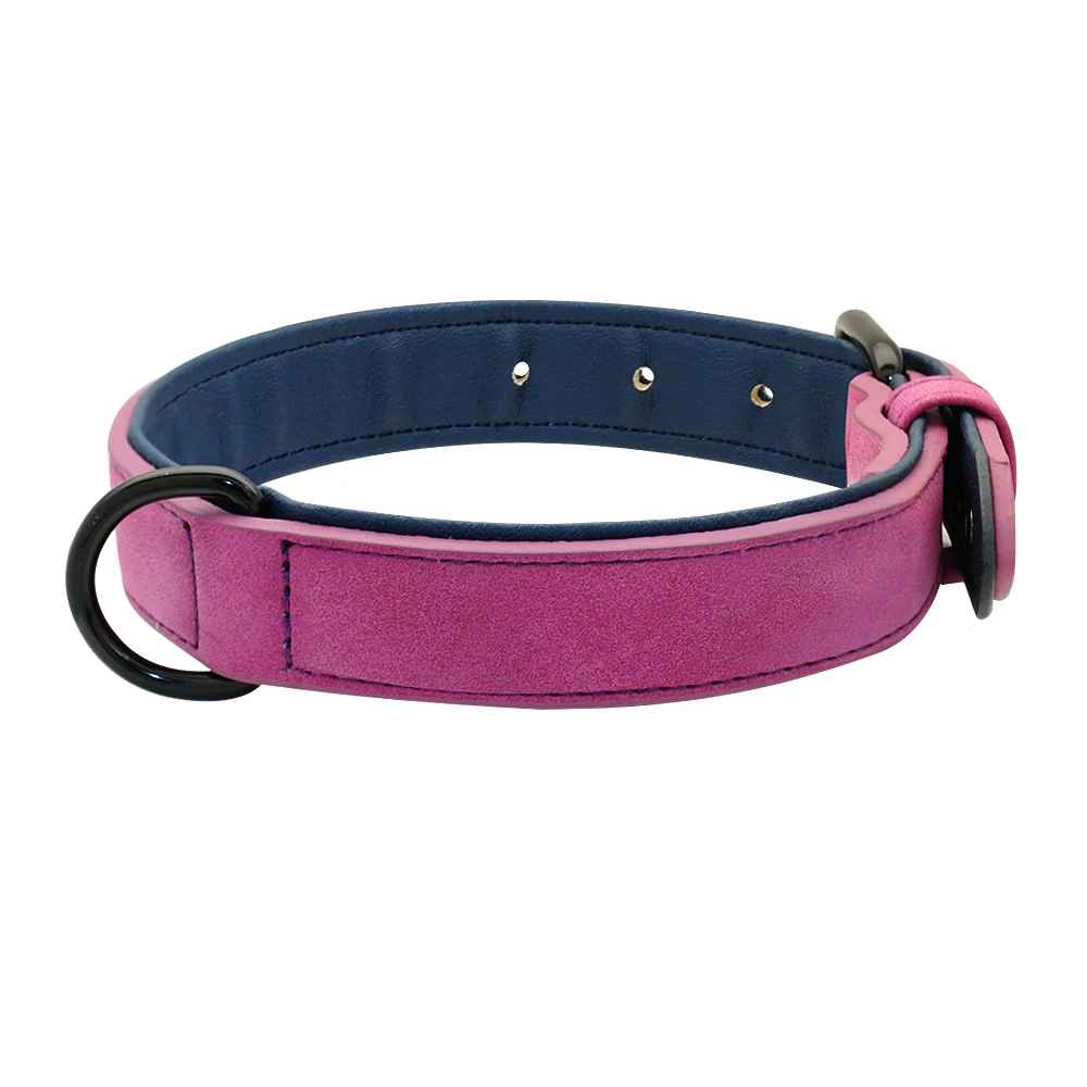 collier chien cuir vue