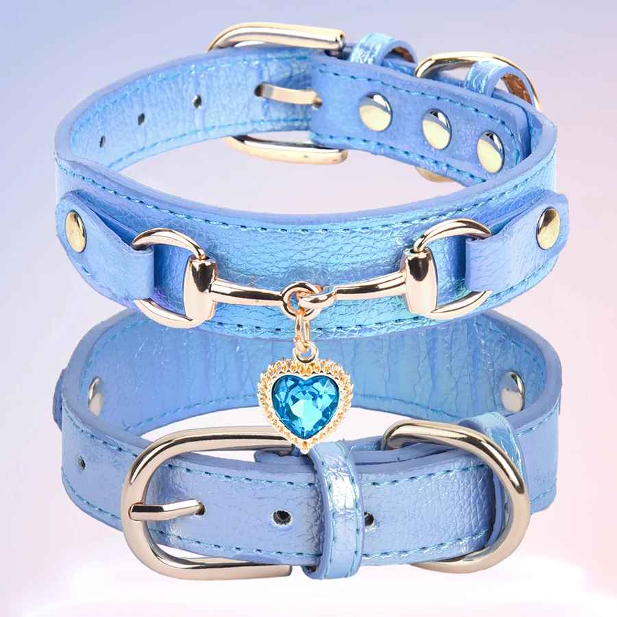 Collier pour Chien CuirÉlégance ™
