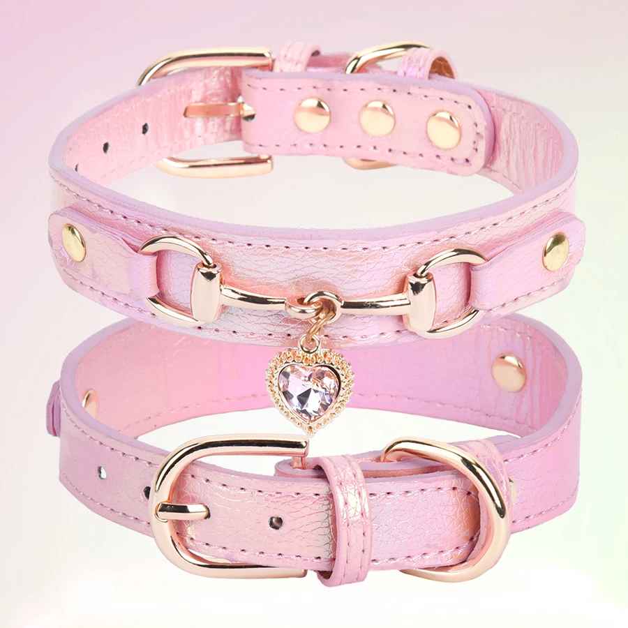 Collier pour Chien CuirÉlégance ™