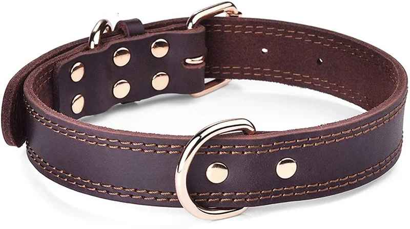 collier chien cuirveritable arriere