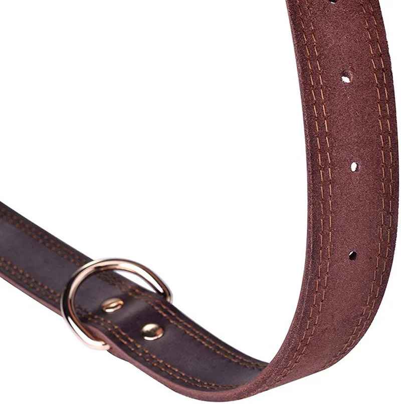 collier chien cuirveritable detail