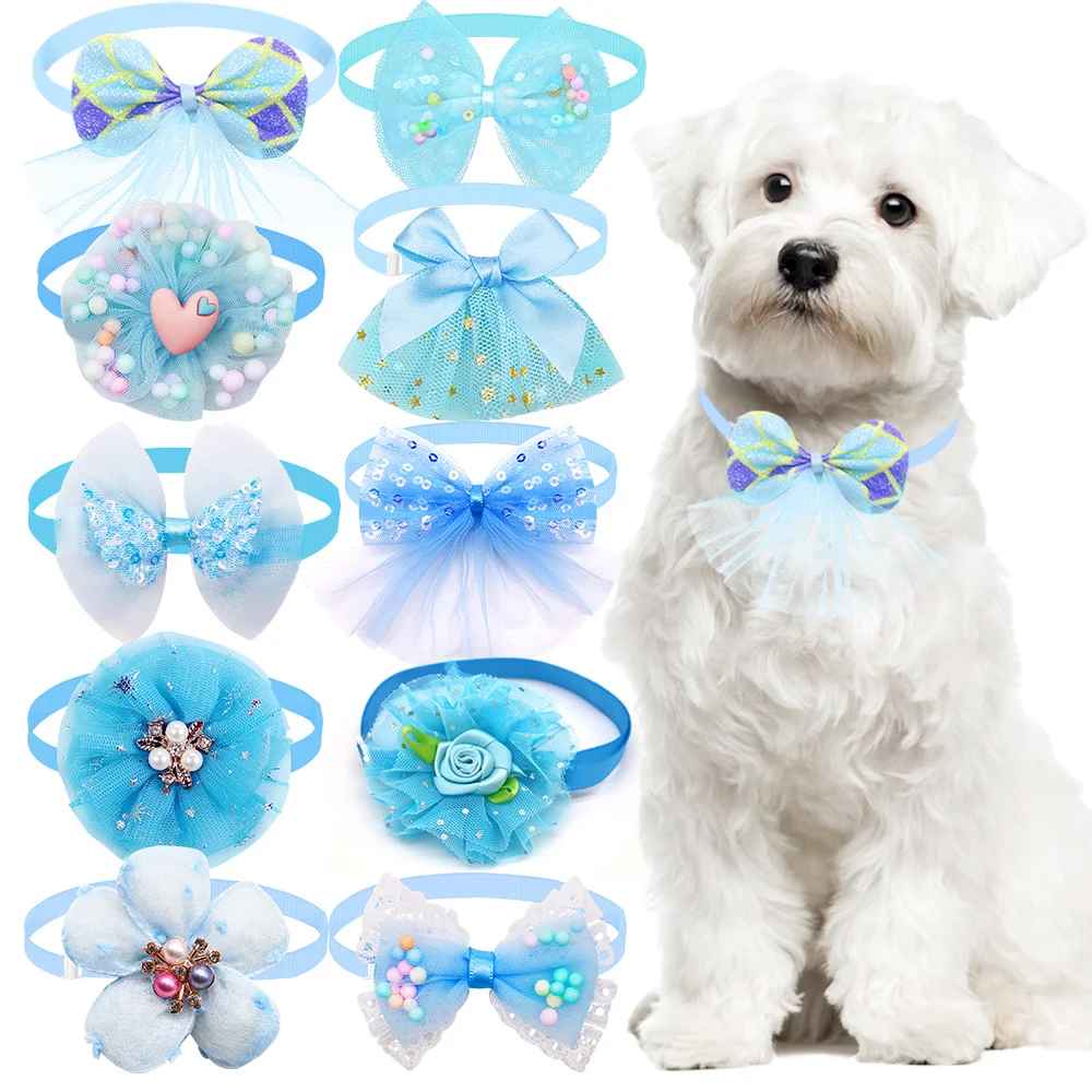 collier chien elegancefestive bleu