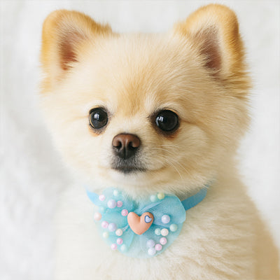 collier chien elegancefestive papillon bleu