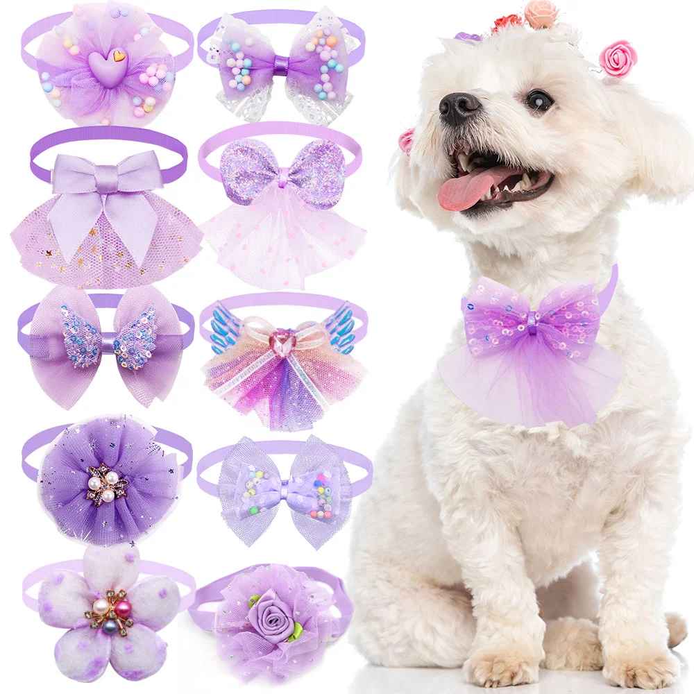 collier chien elegancefestive violet