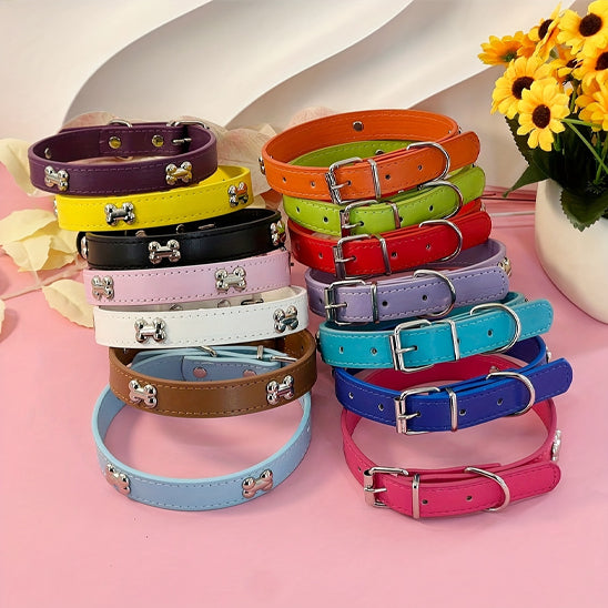 collier chien elgancecuir couleur