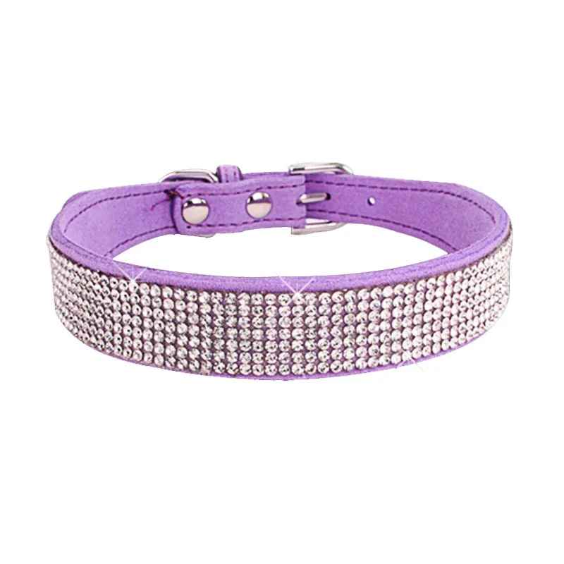 collier chien elgancestrass violet