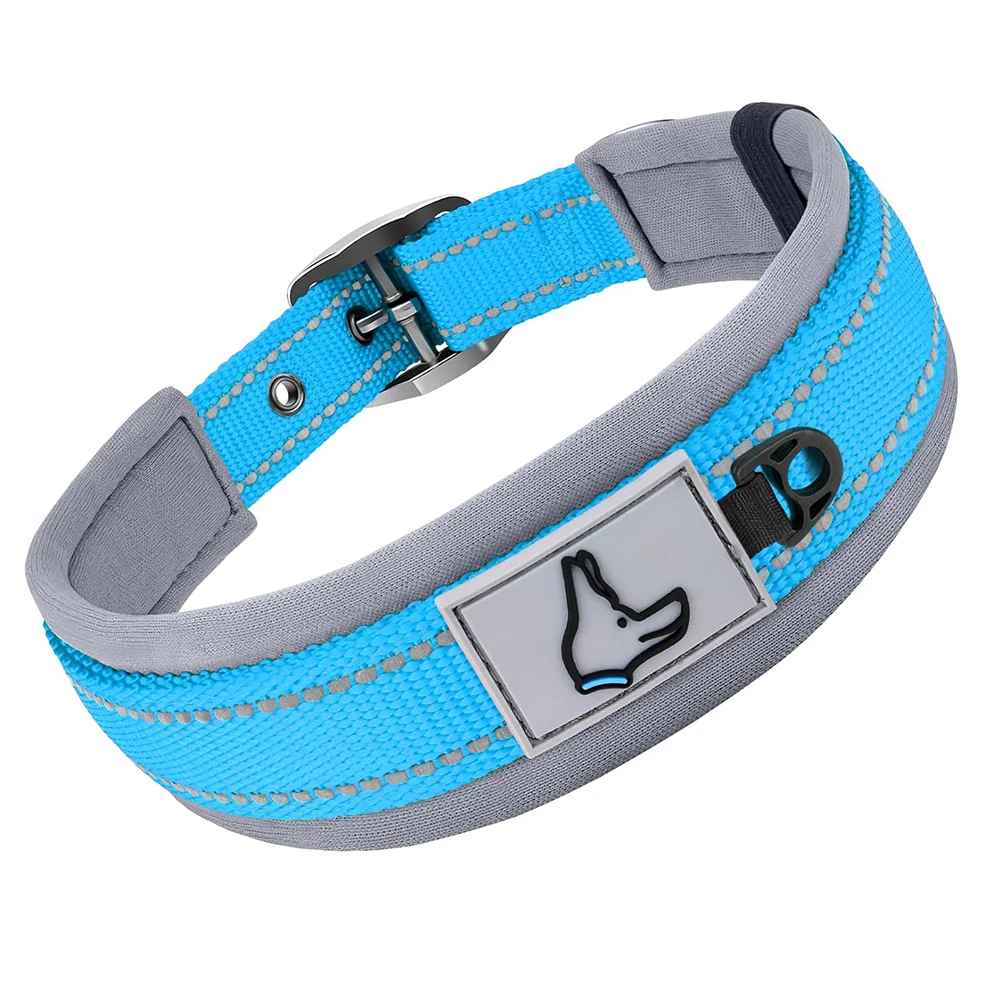 collier chien robuste bleu