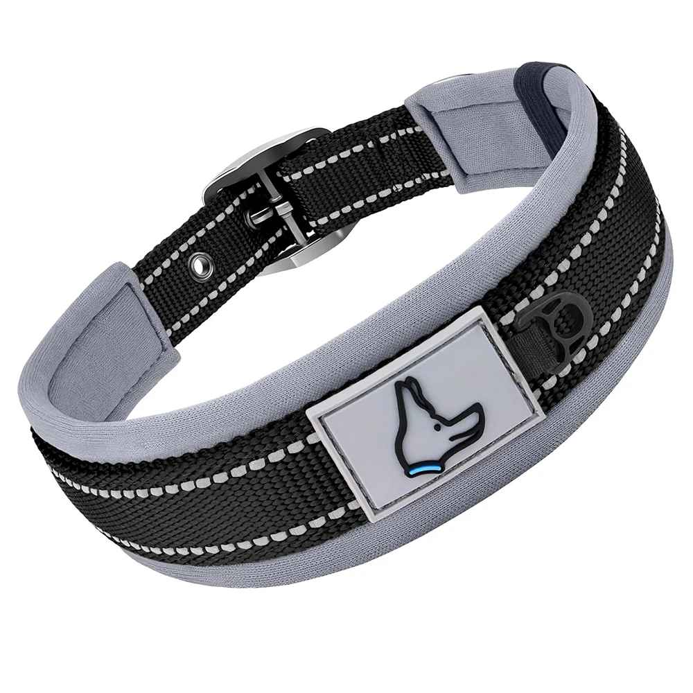 collier chien robuste noir