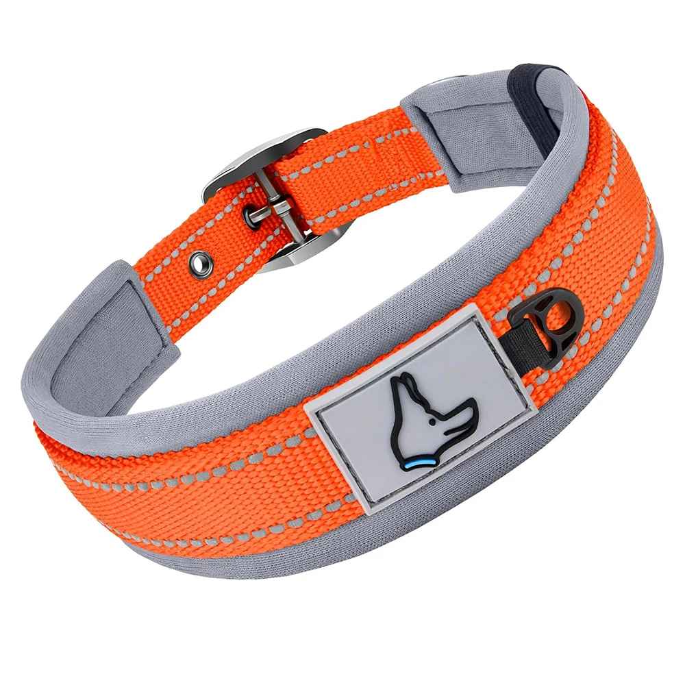collier chien robuste orange