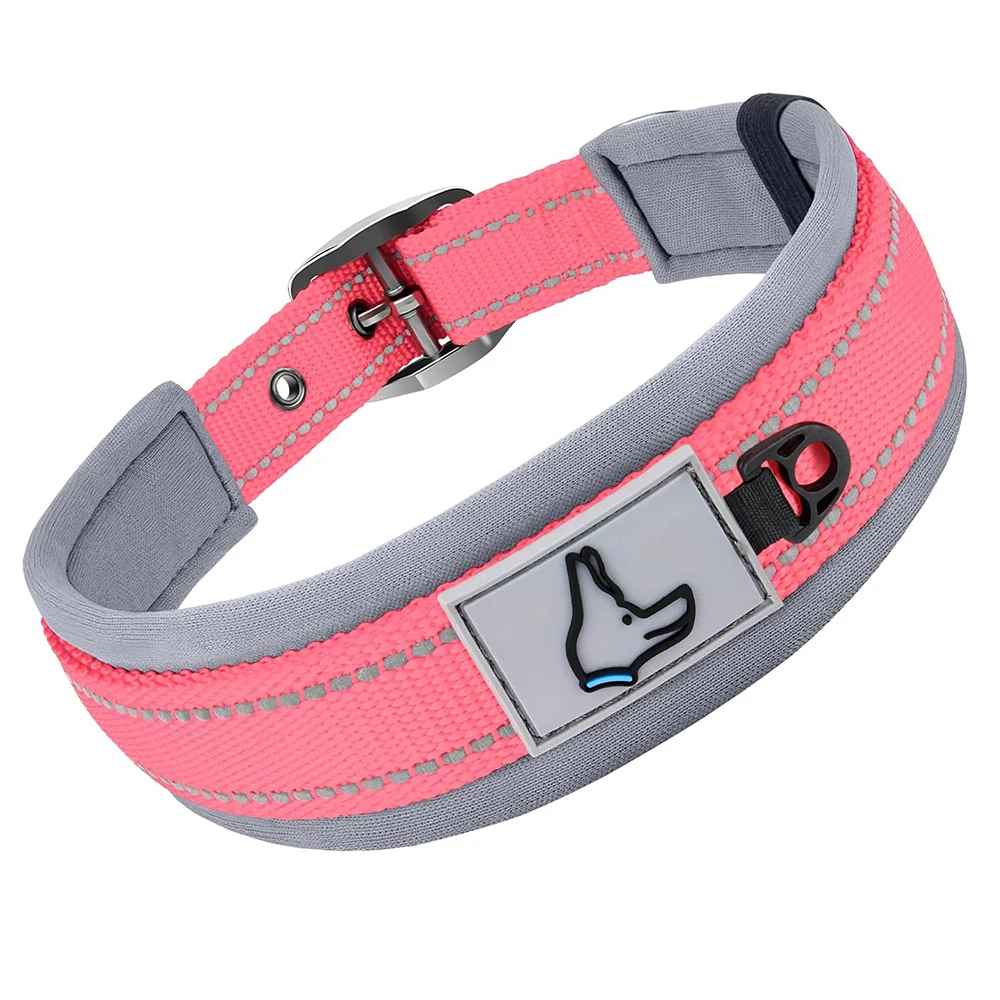 collier chien robuste rose