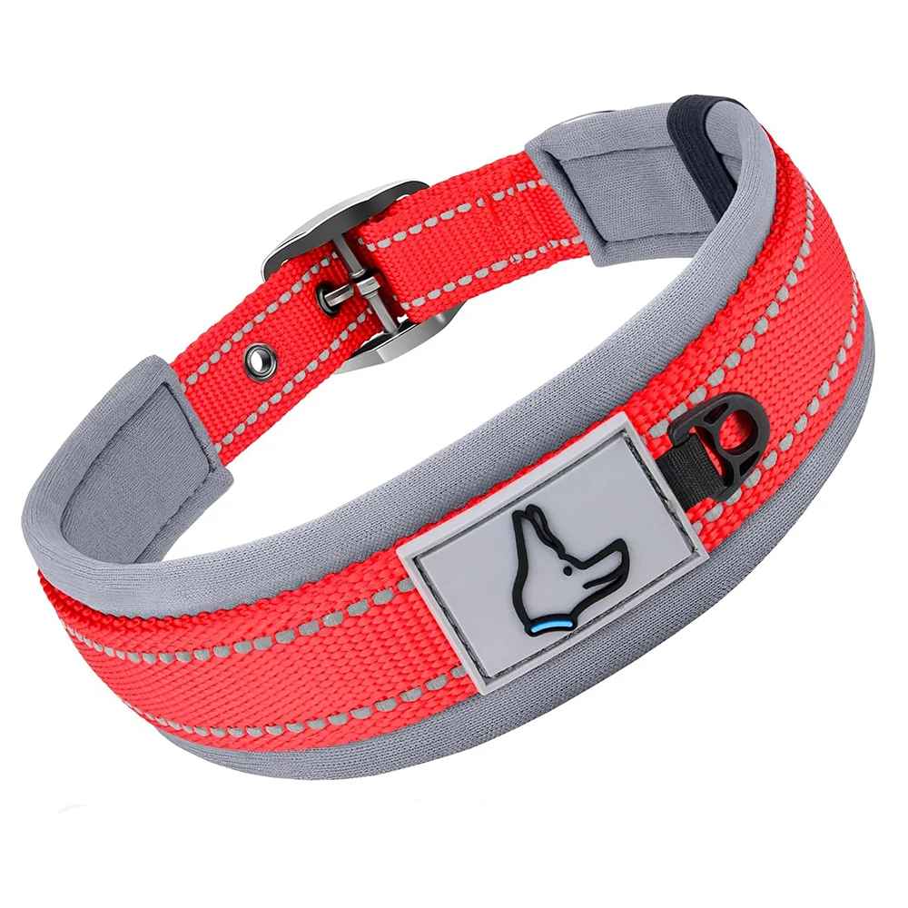 collier chien robuste rouge