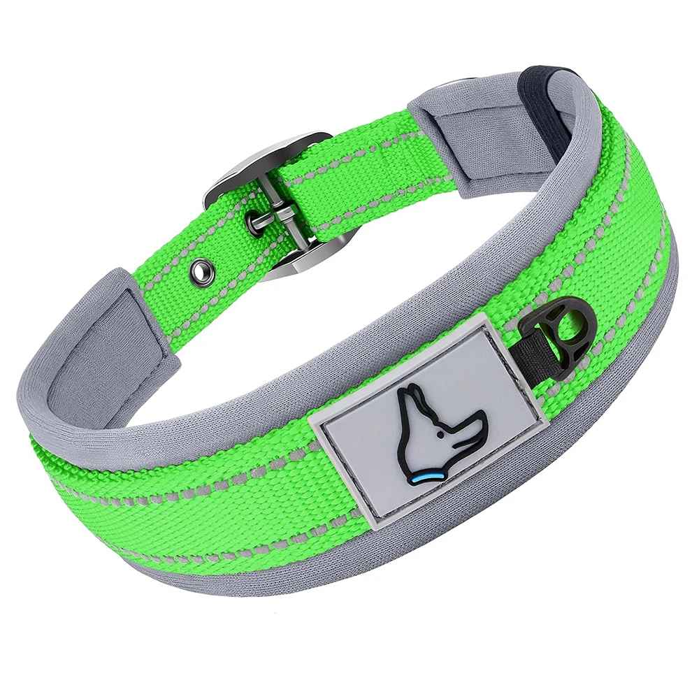 collier chien robuste vert