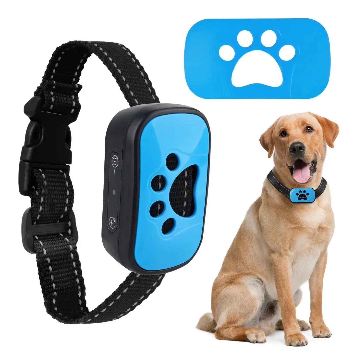 collier de dressage pour chien patte bleu