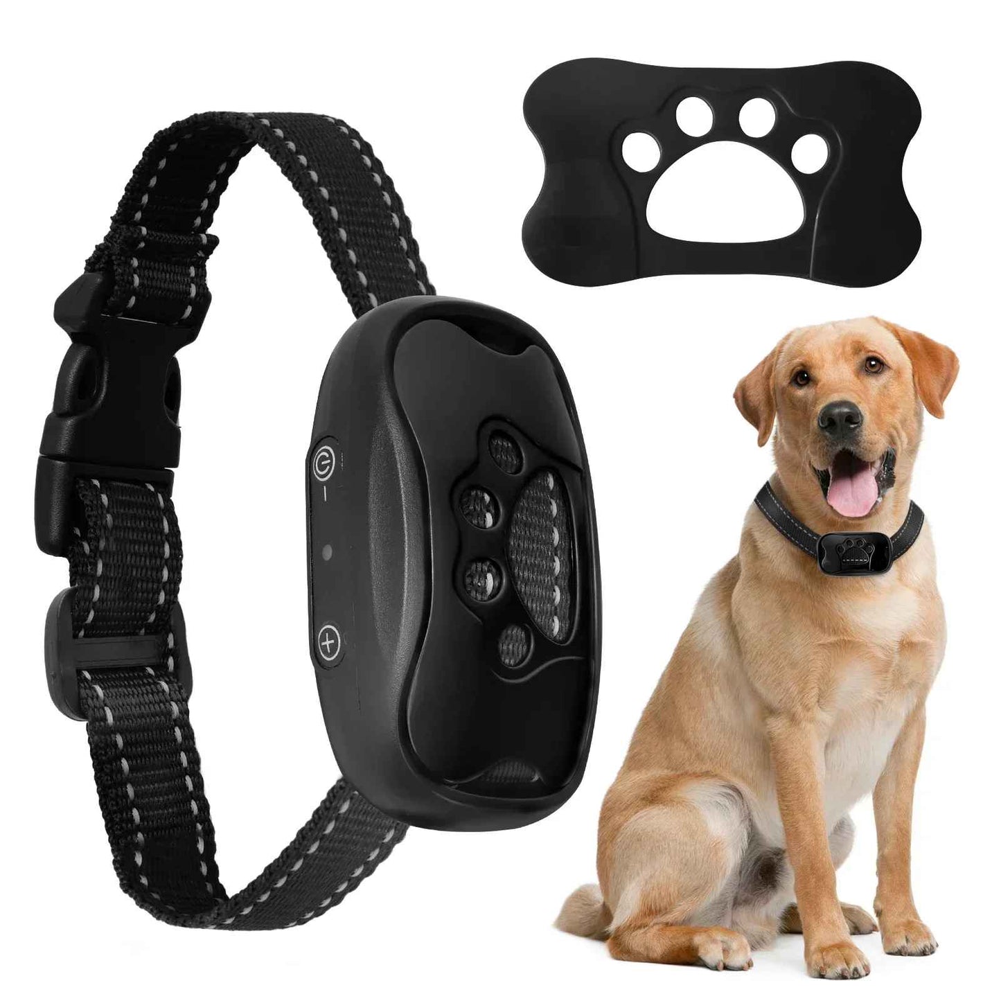 collier de dressage pour chien patte patte noir