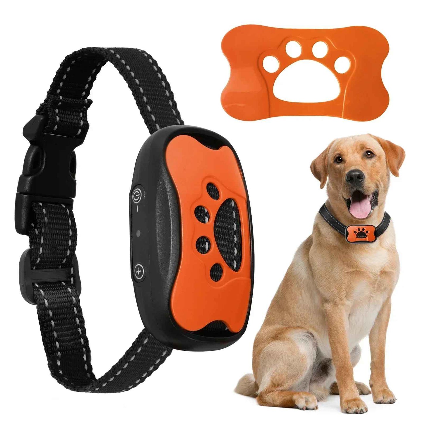collier de dressage pour chien pattes rouge