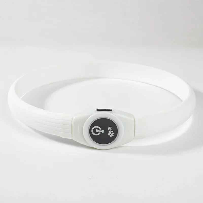 collier lumineux chien safenight blanc