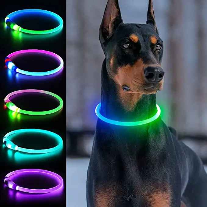 collier lumineux chien safenight different