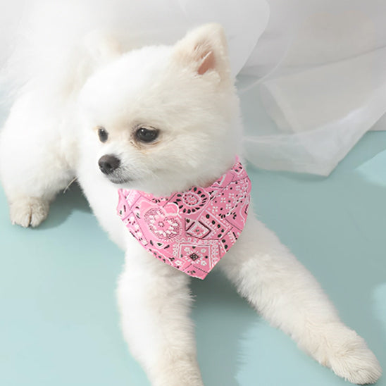 collier pour chien bandana tapis