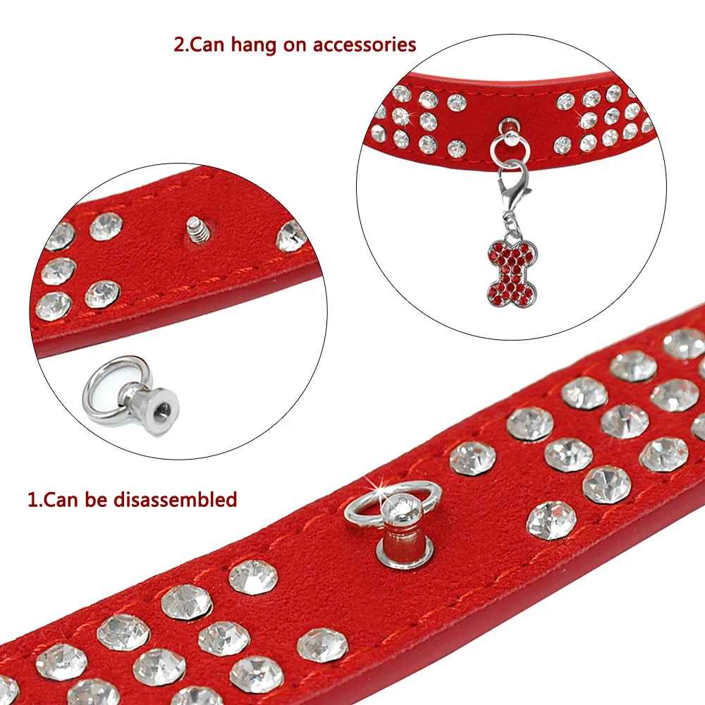 collier pour chien chrystalelegance detail