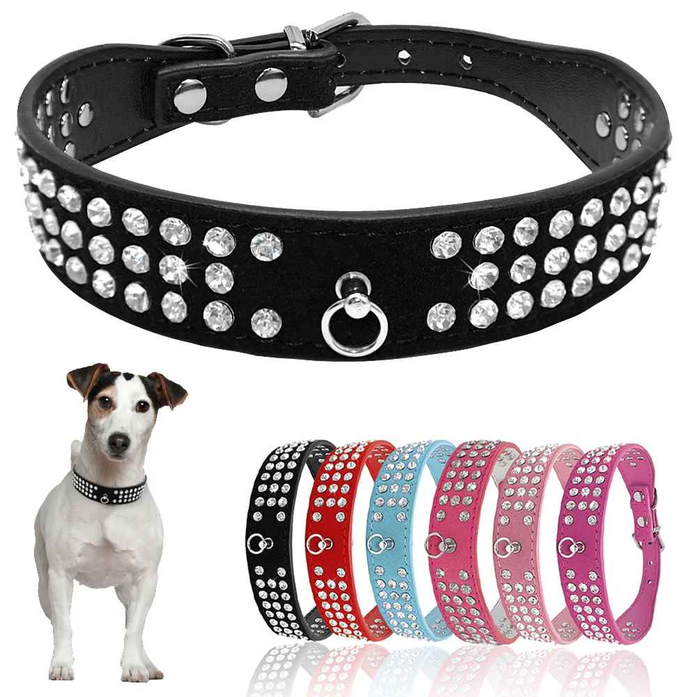 collier pour chien chrystalelegance palette couleur