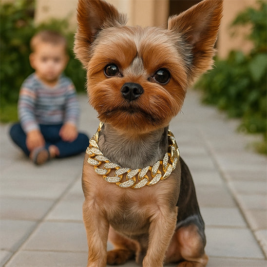 collier pour chien cubainluxe enfant