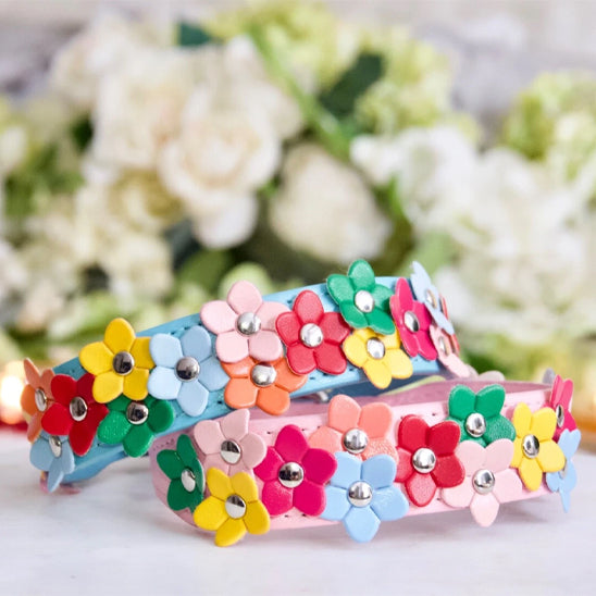 collier pour chien fleurie bouquet