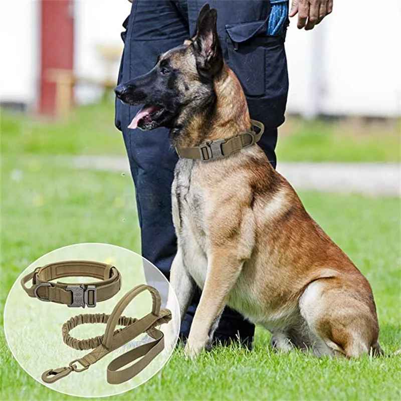 collier pour chien tacticalpro avec laisse